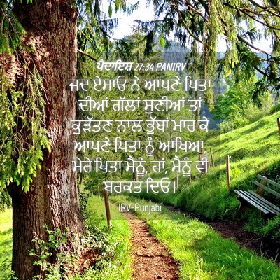 Picture 04 - ਪੈਦਾਇਸ਼ 27:34 PANIRV - ਜਦ ਏਸਾਓ ਨੇ ਆਪਣੇ - Bible Verse Picture