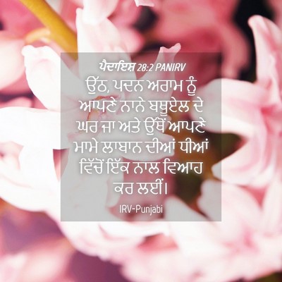 Picture 04 - ਪੈਦਾਇਸ਼ 28:2 PANIRV - ਉੱਠ, ਪਦਨ ਅਰਾਮ ਨੂੰ - Bible Verse Picture