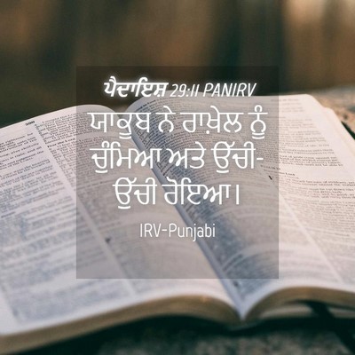 Picture 04 - ਪੈਦਾਇਸ਼ 29:11 PANIRV - ਯਾਕੂਬ ਨੇ ਰਾਖ਼ੇਲ - Bible Verse Picture