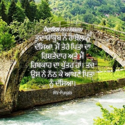 Picture 04 - ਪੈਦਾਇਸ਼ 29:12 PANIRV - ਤਦ ਯਾਕੂਬ ਨੇ ਰਾਖ਼ੇਲ - Bible Verse Picture