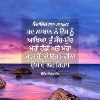 Picture 04 - ਪੈਦਾਇਸ਼ 29:14 PANIRV - ਤਦ ਲਾਬਾਨ ਨੇ ਉਸ ਨੂੰ - Bible Verse Picture