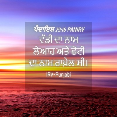 Picture 04 - ਪੈਦਾਇਸ਼ 29:16 PANIRV - ਵੱਡੀ ਦਾ ਨਾਮ ਲੇਆਹ - Bible Verse Picture