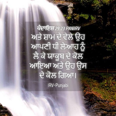Picture 04 - ਪੈਦਾਇਸ਼ 29:23 PANIRV - ਅਤੇ ਸ਼ਾਮ ਦੇ ਵੇਲੇ ਉਹ - Bible Verse Picture