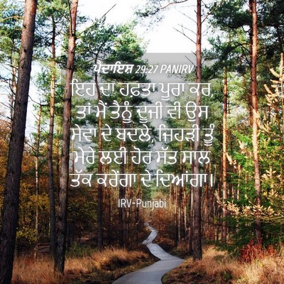 Picture 04 - ਪੈਦਾਇਸ਼ 29:27 PANIRV - ਇਹ ਦਾ ਹਫ਼ਤਾ ਪੂਰਾ - Bible Verse Picture