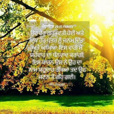 Picture 04 - ਪੈਦਾਇਸ਼ 29:35 PANIRV - ਉਹ ਫੇਰ ਗਰਭਵਤੀ ਹੋਈ - Bible Verse Picture