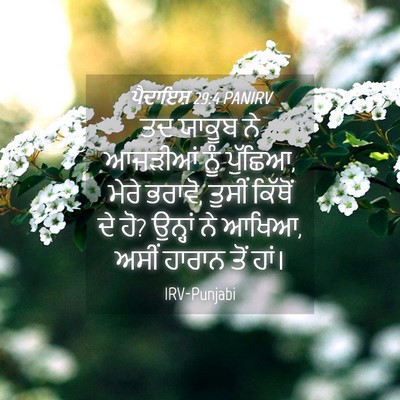 Picture 04 - ਪੈਦਾਇਸ਼ 29:4 PANIRV - ਤਦ ਯਾਕੂਬ ਨੇ ਆਜੜੀਆਂ - Bible Verse Picture