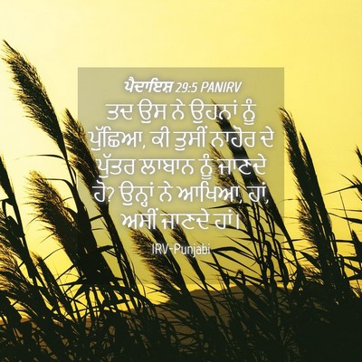 Picture 04 - ਪੈਦਾਇਸ਼ 29:5 PANIRV - ਤਦ ਉਸ ਨੇ ਉਹਨਾਂ ਨੂੰ - Bible Verse Picture