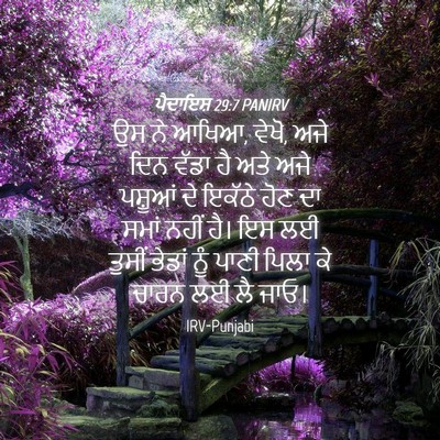 Picture 04 - ਪੈਦਾਇਸ਼ 29:7 PANIRV - ਉਸ ਨੇ ਆਖਿਆ, ਵੇਖੋ, - Bible Verse Picture