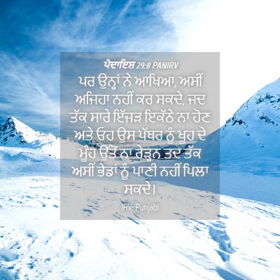 Picture 04 - ਪੈਦਾਇਸ਼ 29:8 PANIRV - ਪਰ ਉਨ੍ਹਾਂ ਨੇ ਆਖਿਆ, - Bible Verse Picture