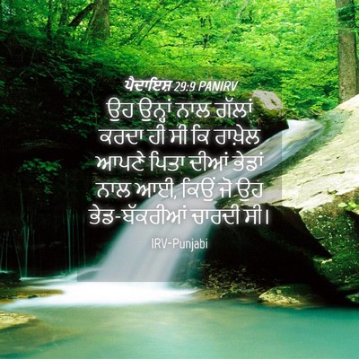 Picture 04 - ਪੈਦਾਇਸ਼ 29:9 PANIRV - ਉਹ ਉਨ੍ਹਾਂ ਨਾਲ - Bible Verse Picture