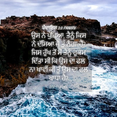 Picture 04 - ਪੈਦਾਇਸ਼ 3:11 PANIRV - ਉਸ ਨੇ ਪੁੱਛਿਆ, ਤੈਨੂੰ - Bible Verse Picture