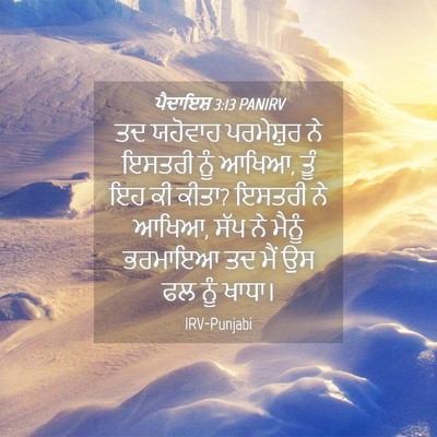 Picture 04 - ਪੈਦਾਇਸ਼ 3:13 PANIRV - ਤਦ ਯਹੋਵਾਹ - Bible Verse Picture