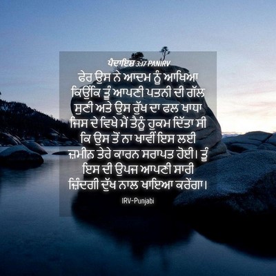 Picture 04 - ਪੈਦਾਇਸ਼ 3:17 PANIRV - ਫੇਰ ਉਸ ਨੇ ਆਦਮ ਨੂੰ - Bible Verse Picture