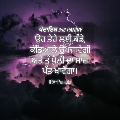 Picture 04 - ਪੈਦਾਇਸ਼ 3:18 PANIRV - ਉਹ ਤੇਰੇ ਲਈ ਕੰਡੇ, - Bible Verse Picture