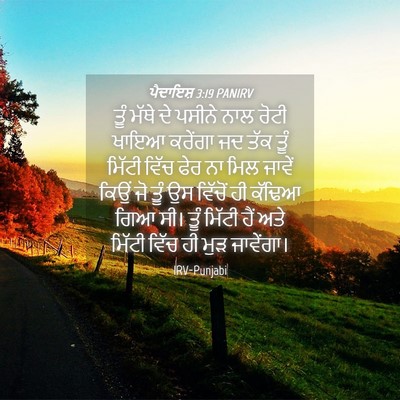 Picture 04 - ਪੈਦਾਇਸ਼ 3:19 PANIRV - ਤੂੰ ਮੱਥੇ ਦੇ ਪਸੀਨੇ - Bible Verse Picture