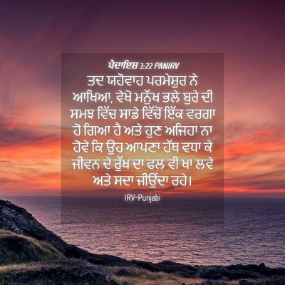 Picture 04 - ਪੈਦਾਇਸ਼ 3:22 PANIRV - ਤਦ ਯਹੋਵਾਹ - Bible Verse Picture