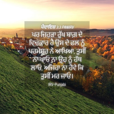 Picture 04 - ਪੈਦਾਇਸ਼ 3:3 PANIRV - ਪਰ ਜਿਹੜਾ ਰੁੱਖ ਬਾਗ਼ - Bible Verse Picture