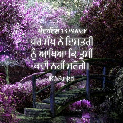 Picture 04 - ਪੈਦਾਇਸ਼ 3:4 PANIRV - ਪਰ ਸੱਪ ਨੇ ਇਸਤਰੀ ਨੂੰ - Bible Verse Picture