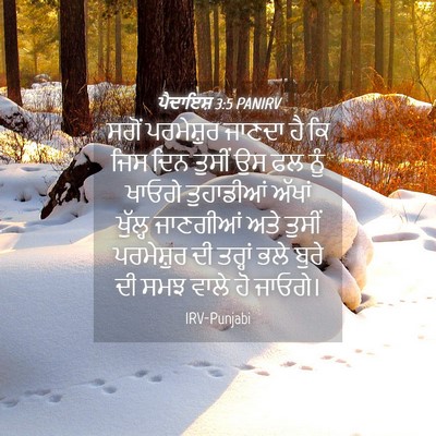 Picture 04 - ਪੈਦਾਇਸ਼ 3:5 PANIRV - ਸਗੋਂ ਪਰਮੇਸ਼ੁਰ - Bible Verse Picture