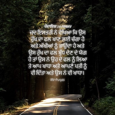 Picture 04 - ਪੈਦਾਇਸ਼ 3:6 PANIRV - ਜਦ ਇਸਤਰੀ ਨੇ ਵੇਖਿਆ - Bible Verse Picture
