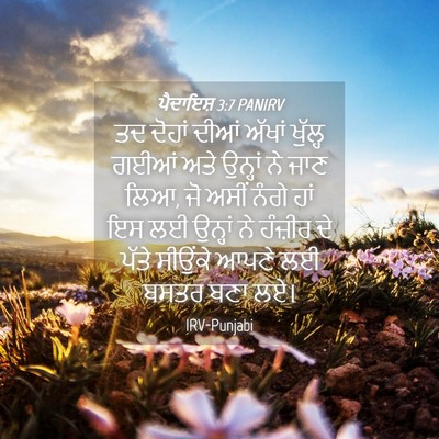 Picture 04 - ਪੈਦਾਇਸ਼ 3:7 PANIRV - ਤਦ ਦੋਹਾਂ ਦੀਆਂ - Bible Verse Picture