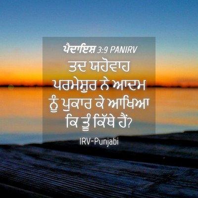 Picture 04 - ਪੈਦਾਇਸ਼ 3:9 PANIRV - ਤਦ ਯਹੋਵਾਹ - Bible Verse Picture