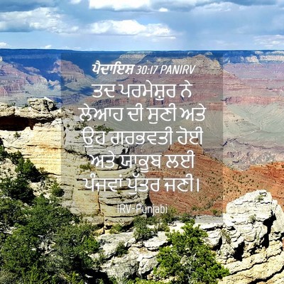 Picture 04 - ਪੈਦਾਇਸ਼ 30:17 PANIRV - ਤਦ ਪਰਮੇਸ਼ੁਰ ਨੇ - Bible Verse Picture