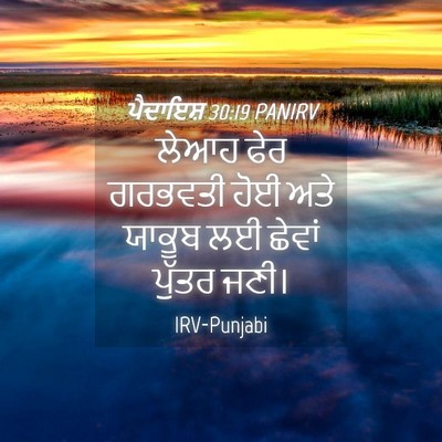 Picture 04 - ਪੈਦਾਇਸ਼ 30:19 PANIRV - ਲੇਆਹ ਫੇਰ ਗਰਭਵਤੀ - Bible Verse Picture