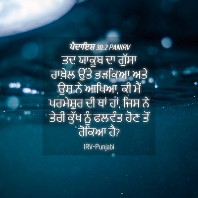 Picture 04 - ਪੈਦਾਇਸ਼ 30:2 PANIRV - ਤਦ ਯਾਕੂਬ ਦਾ ਗੁੱਸਾ - Bible Verse Picture