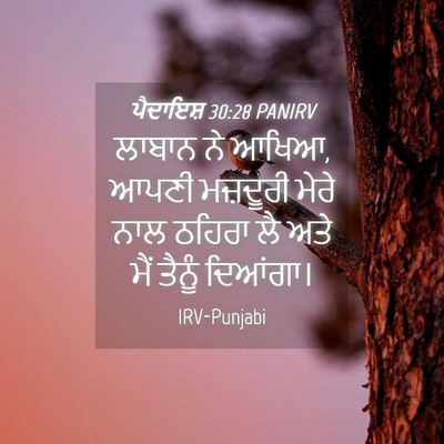 Picture 04 - ਪੈਦਾਇਸ਼ 30:28 PANIRV - ਲਾਬਾਨ ਨੇ ਆਖਿਆ, ਆਪਣੀ - Bible Verse Picture