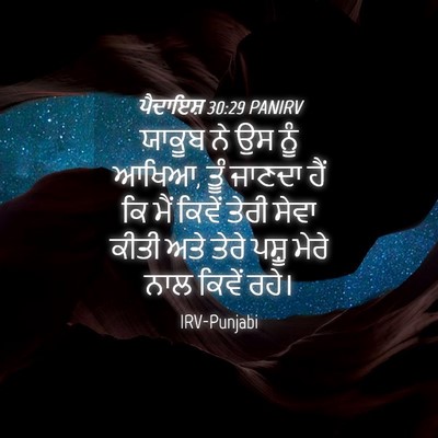 Picture 04 - ਪੈਦਾਇਸ਼ 30:29 PANIRV - ਯਾਕੂਬ ਨੇ ਉਸ ਨੂੰ - Bible Verse Picture