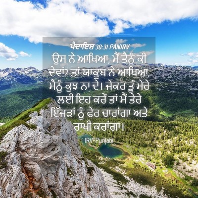 Picture 04 - ਪੈਦਾਇਸ਼ 30:31 PANIRV - ਉਸ ਨੇ ਆਖਿਆ, ਮੈਂ - Bible Verse Picture