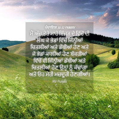 Picture 04 - ਪੈਦਾਇਸ਼ 30:32 PANIRV - ਮੈਂ ਅੱਜ ਤੇਰੇ ਸਾਰੇ - Bible Verse Picture