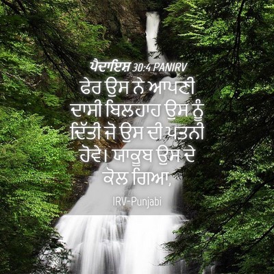 Picture 04 - ਪੈਦਾਇਸ਼ 30:4 PANIRV - ਫੇਰ ਉਸ ਨੇ ਆਪਣੀ ਦਾਸੀ - Bible Verse Picture