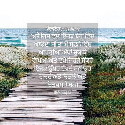Picture 04 - ਪੈਦਾਇਸ਼ 31:10 PANIRV - ਅਤੇ ਜਿਸ ਵੇਲੇ ਇੱਜੜ - Bible Verse Picture