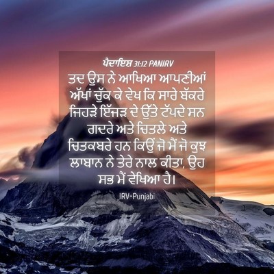 Picture 04 - ਪੈਦਾਇਸ਼ 31:12 PANIRV - ਤਦ ਉਸ ਨੇ ਆਖਿਆ - Bible Verse Picture
