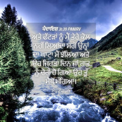 Picture 04 - ਪੈਦਾਇਸ਼ 31:39 PANIRV - ਅਤੇ ਫੱਟੜਾਂ ਨੂੰ ਮੈਂ - Bible Verse Picture