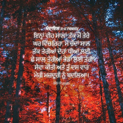 Picture 04 - ਪੈਦਾਇਸ਼ 31:41 PANIRV - ਇਨ੍ਹਾਂ ਵੀਹ ਸਾਲਾਂ - Bible Verse Picture