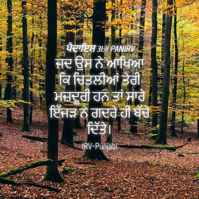 Picture 04 - ਪੈਦਾਇਸ਼ 31:8 PANIRV - ਜਦ ਉਸ ਨੇ ਆਖਿਆ ਕਿ - Bible Verse Picture