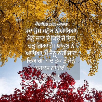 Picture 04 - ਪੈਦਾਇਸ਼ 32:26 PANIRV - ਤਦ ਉਸ ਮਨੁੱਖ ਨੇ - Bible Verse Picture