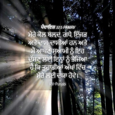 Picture 04 - ਪੈਦਾਇਸ਼ 32:5 PANIRV - ਮੇਰੇ ਕੋਲ ਬਲ਼ਦ, ਗਧੇ, - Bible Verse Picture