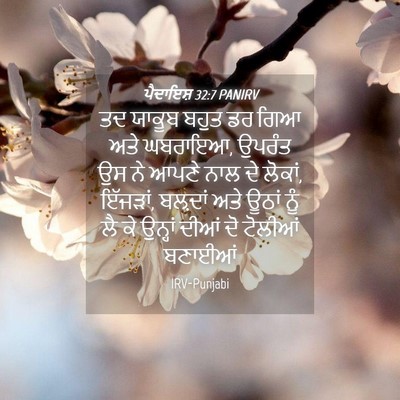 Picture 04 - ਪੈਦਾਇਸ਼ 32:7 PANIRV - ਤਦ ਯਾਕੂਬ ਬਹੁਤ ਡਰ - Bible Verse Picture