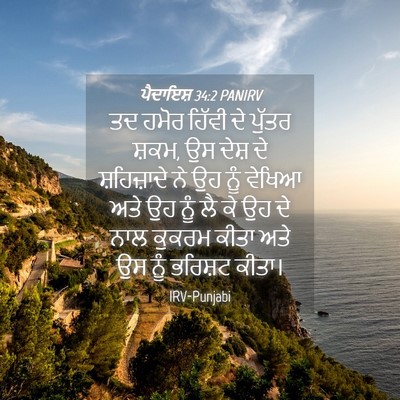 Picture 04 - ਪੈਦਾਇਸ਼ 34:2 PANIRV - ਤਦ ਹਮੋਰ ਹਿੱਵੀ ਦੇ - Bible Verse Picture