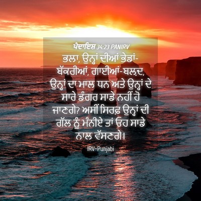 Picture 04 - ਪੈਦਾਇਸ਼ 34:23 PANIRV - ਭਲਾ, ਉਨ੍ਹਾਂ ਦੀਆਂ - Bible Verse Picture