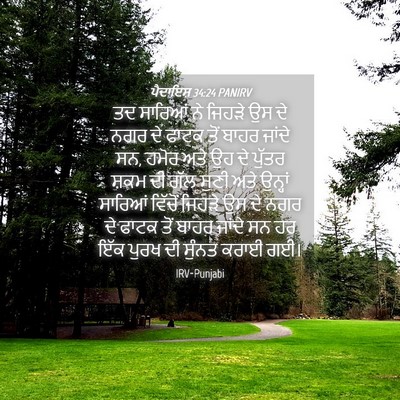 Picture 04 - ਪੈਦਾਇਸ਼ 34:24 PANIRV - ਤਦ ਸਾਰਿਆਂ ਨੇ ਜਿਹੜੇ - Bible Verse Picture