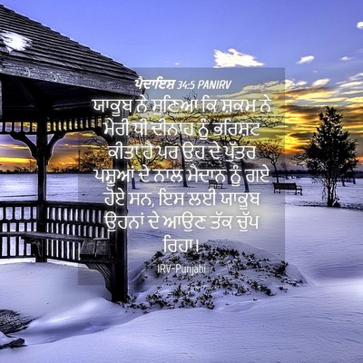 Picture 04 - ਪੈਦਾਇਸ਼ 34:5 PANIRV - ਯਾਕੂਬ ਨੇ ਸੁਣਿਆ ਕਿ - Bible Verse Picture