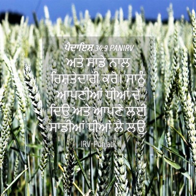 Picture 04 - ਪੈਦਾਇਸ਼ 34:9 PANIRV - ਅਤੇ ਸਾਡੇ ਨਾਲ - Bible Verse Picture