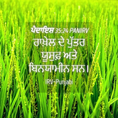 Picture 04 - ਪੈਦਾਇਸ਼ 35:24 PANIRV - ਰਾਖ਼ੇਲ ਦੇ ਪੁੱਤਰ - Bible Verse Picture