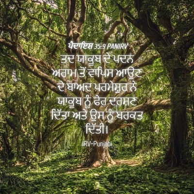 Picture 04 - ਪੈਦਾਇਸ਼ 35:9 PANIRV - ਤਦ ਯਾਕੂਬ ਦੇ ਪਦਨ - Bible Verse Picture