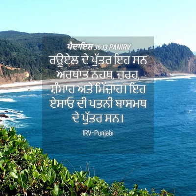 Picture 04 - ਪੈਦਾਇਸ਼ 36:13 PANIRV - ਰਊਏਲ ਦੇ ਪੁੱਤਰ ਇਹ ਸਨ - Bible Verse Picture